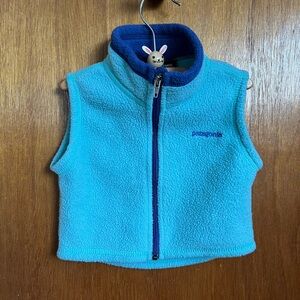Patagonia Blue and Teal Fleece Vest